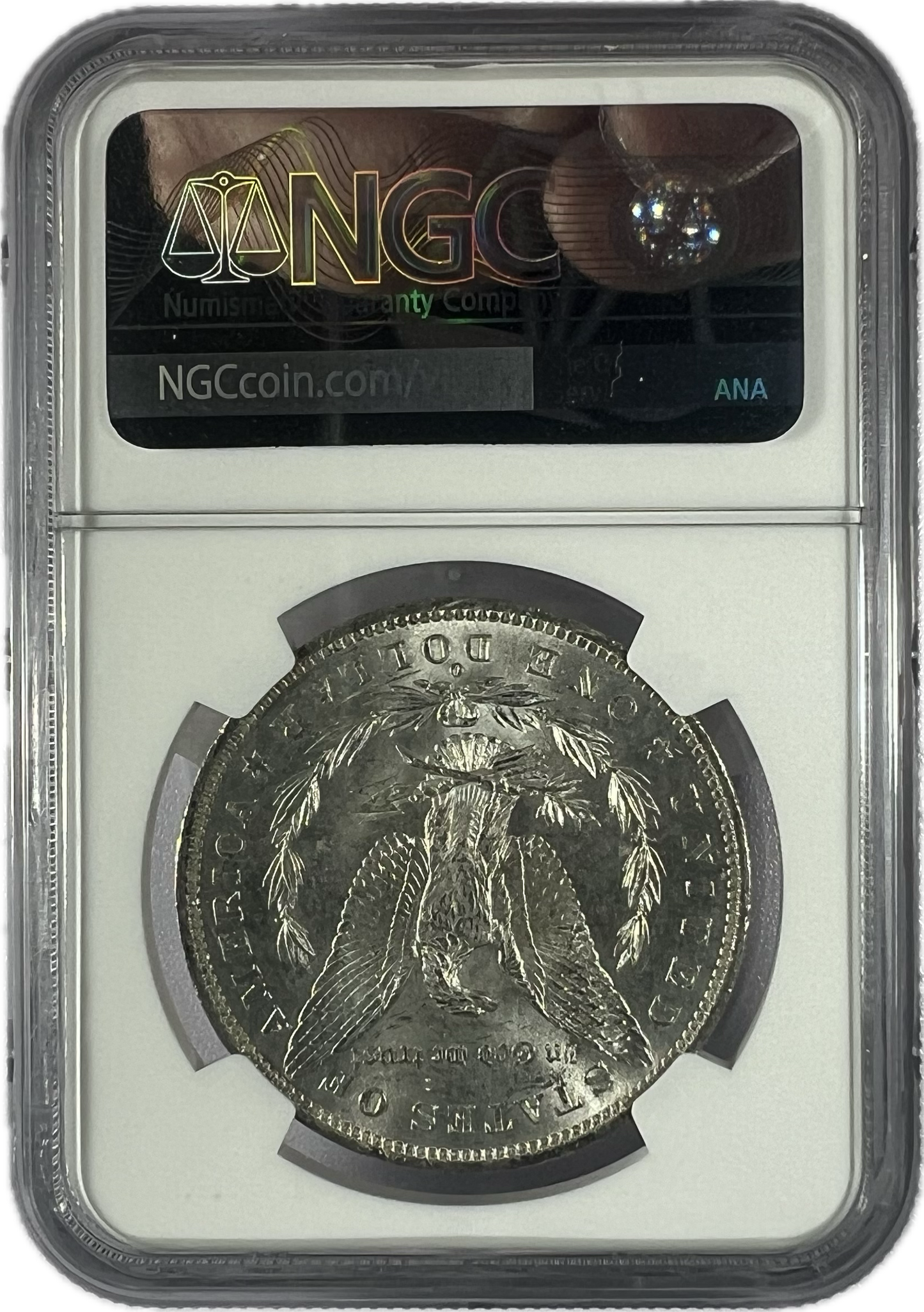 1884-CC $1 Morgan Dollar NGC MS63