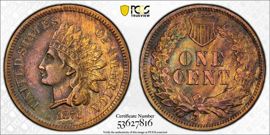 1873 1C Indian Head Cent PCGS Genuine Environmental Damage - XF Detail, Open 3