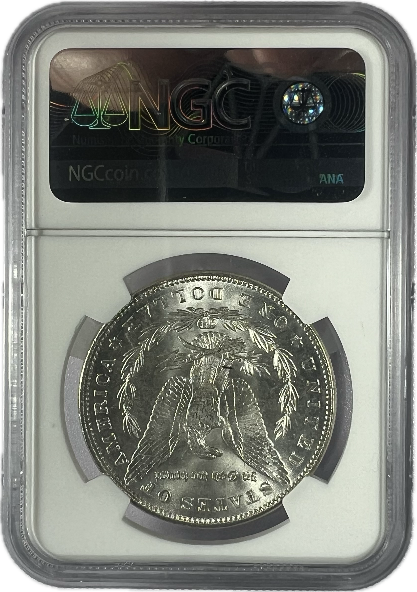 1896 $1 Morgan Dollar NGC MS63