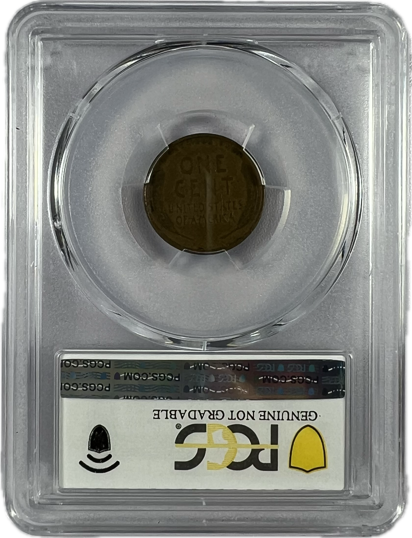 1909-S VDB 1C PCGS Genuine Rim Damage-VF Detail